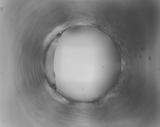 X0000051260197200507152224