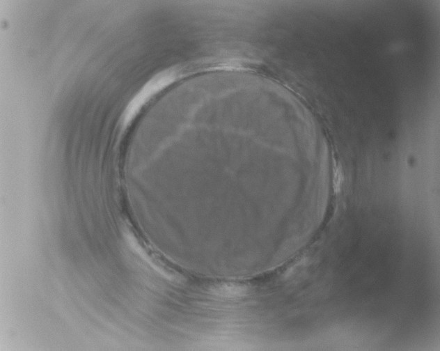 X0000051260198200507152224