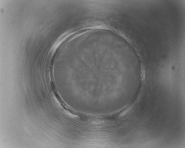 X0000051260199200507152224