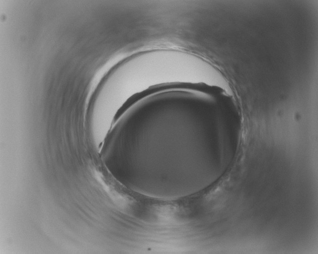 X0000051260200200507152224