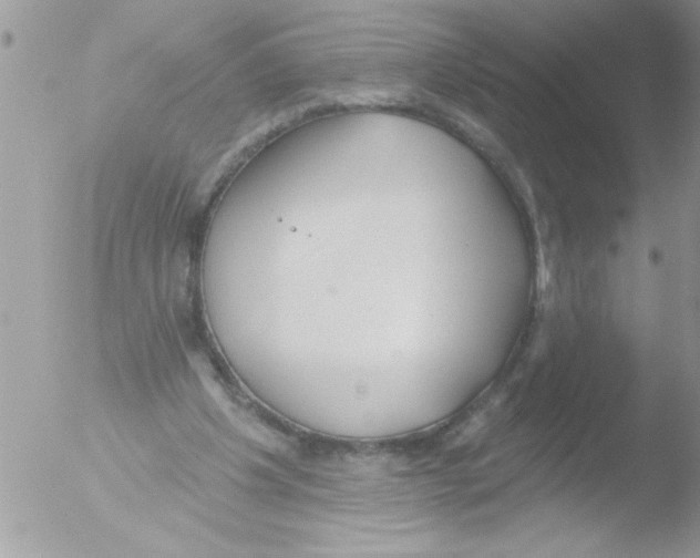 X0000051260201200507152224