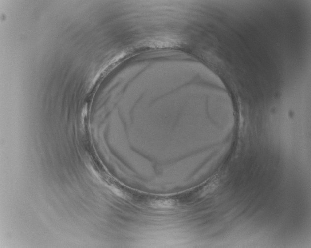 X0000051260202200507152224