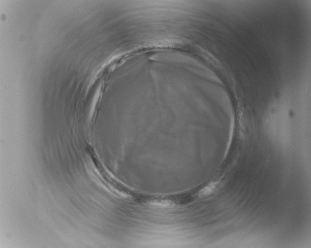 X0000051260203200507152224