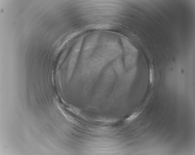 X0000051260205200507152224