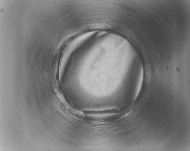 X0000051260207200507152224