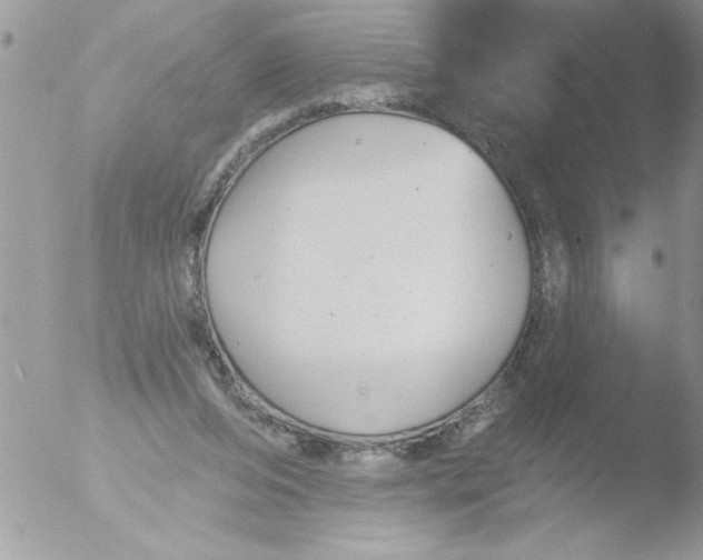 X0000051260208200507152224