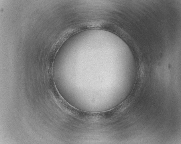 X0000051260209200507152224