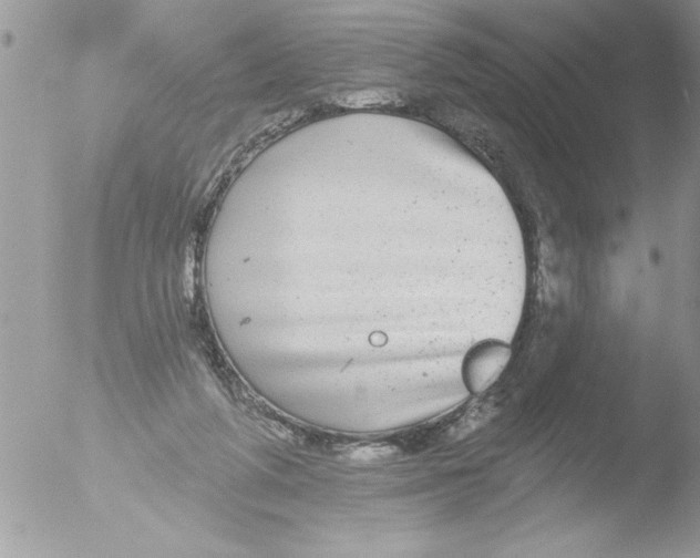 X0000051260210200507152224