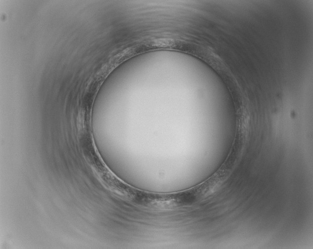 X0000051260213200507152224