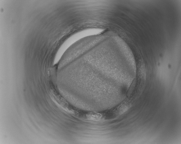 X0000051260215200507152224