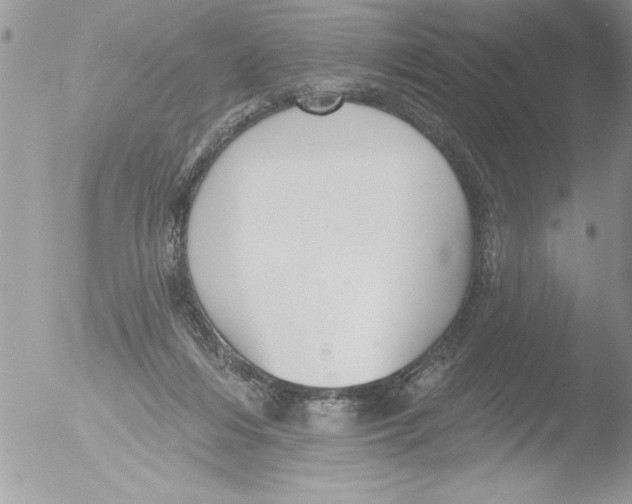 X0000051260216200507152224