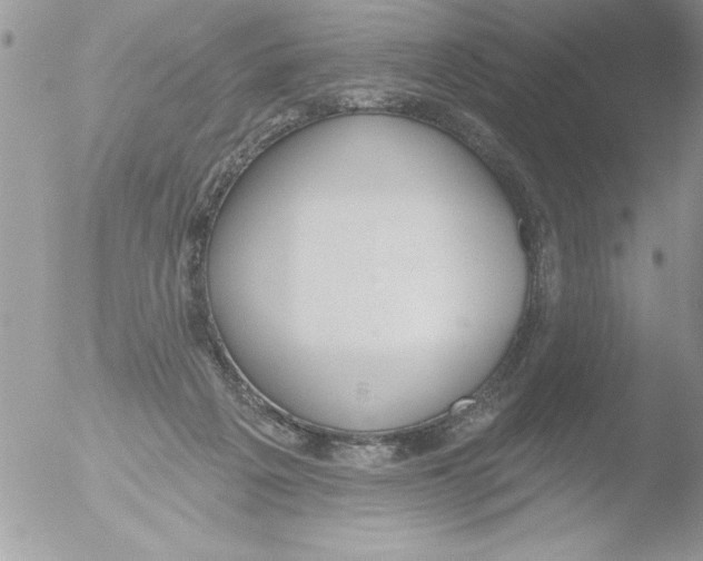 X0000051260217200507152224