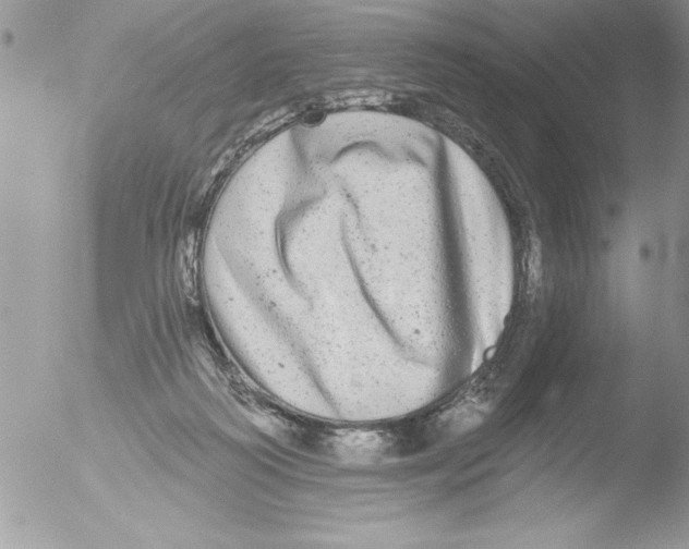 X0000051260218200507152224