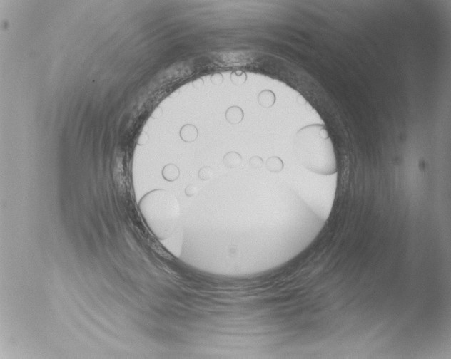 X0000051260220200507152224