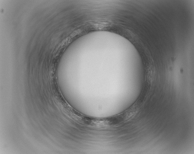 X0000051260221200507152224