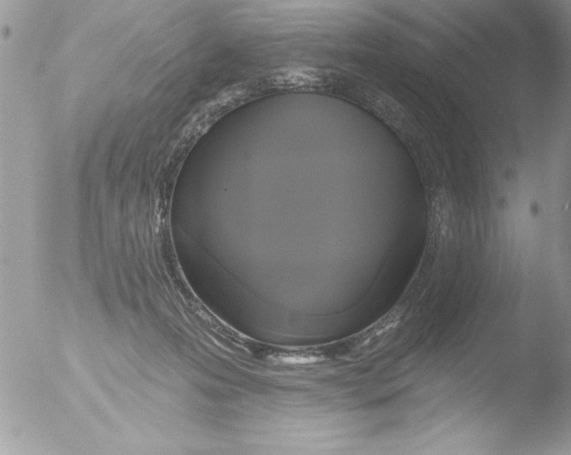 X0000051260223200507152224