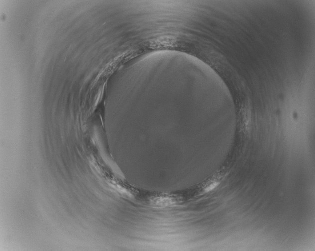 X0000051260224200507152224