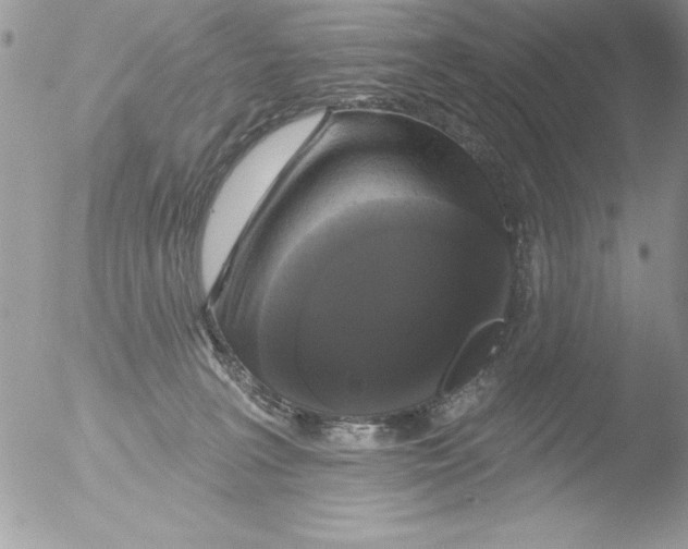 X0000051260227200507152224