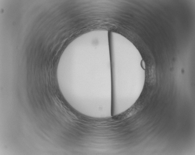 X0000051260228200507152224