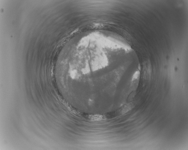 X0000051260230200507152224