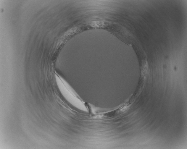 X0000051260233200507152224