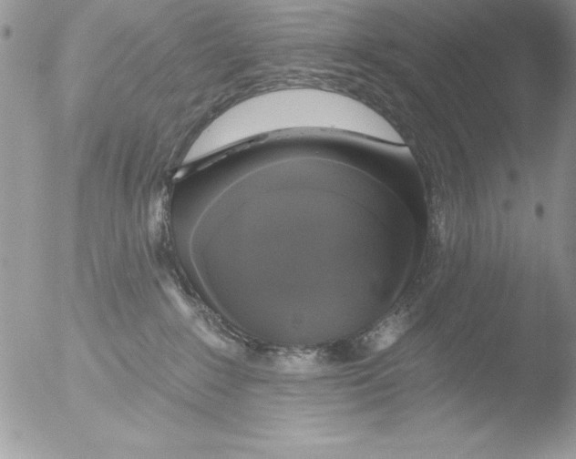 X0000051260235200507152224