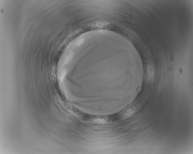 X0000051260236200507152224