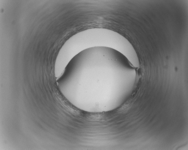 X0000051260237200507152224