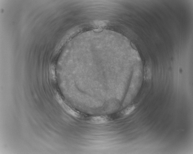 X0000051260238200507152224