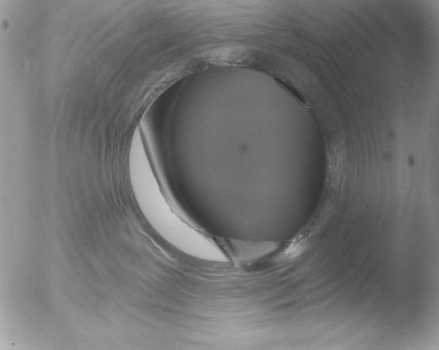 X0000051260239200507152224