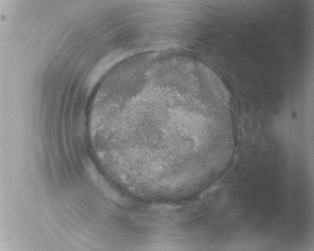 X0000051260242200507152223