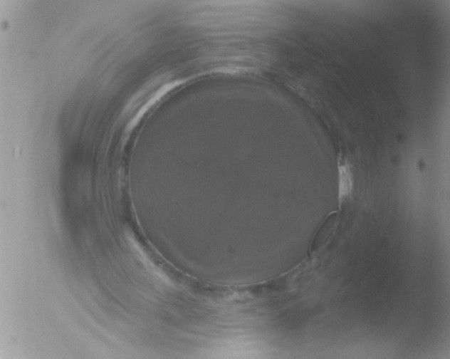 X0000051260243200507152223