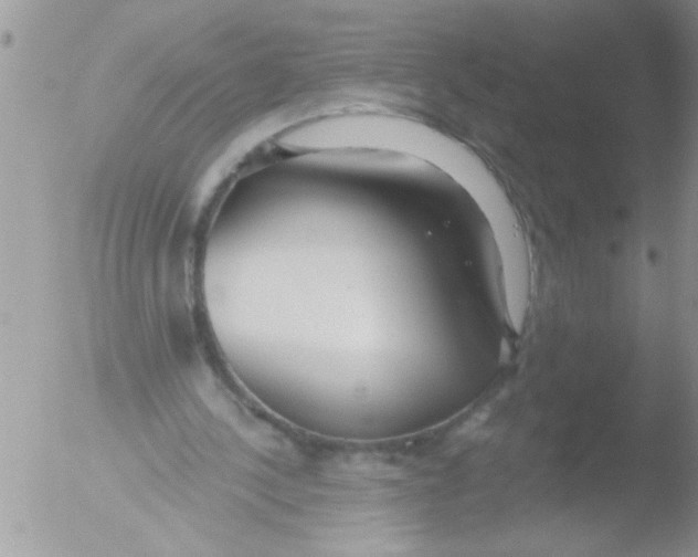 X0000051260244200507152223