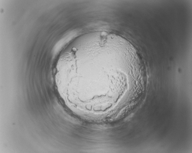 X0000051260245200507152223