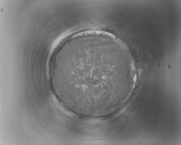 X0000051260246200507152223