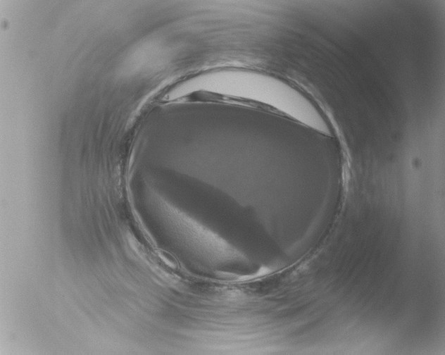 X0000051260249200507152223