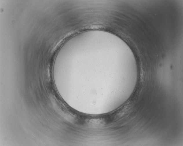 X0000051260251200507152223