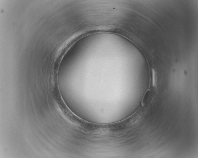 X0000051260252200507152223