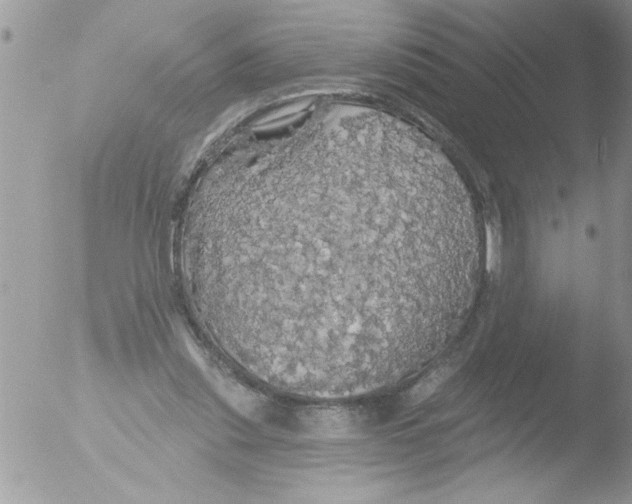 X0000051260253200507152223