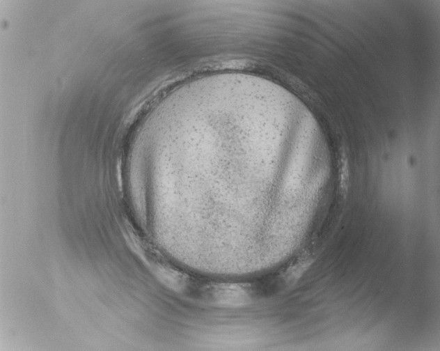 X0000051260254200507152223