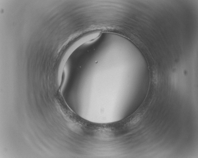 X0000051260256200507152223