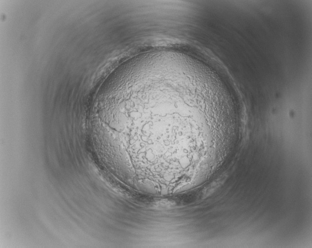 X0000051260257200507152223