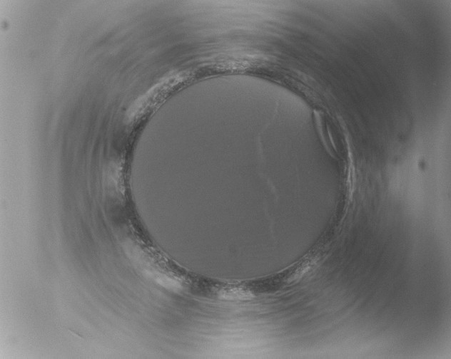 X0000051260258200507152223