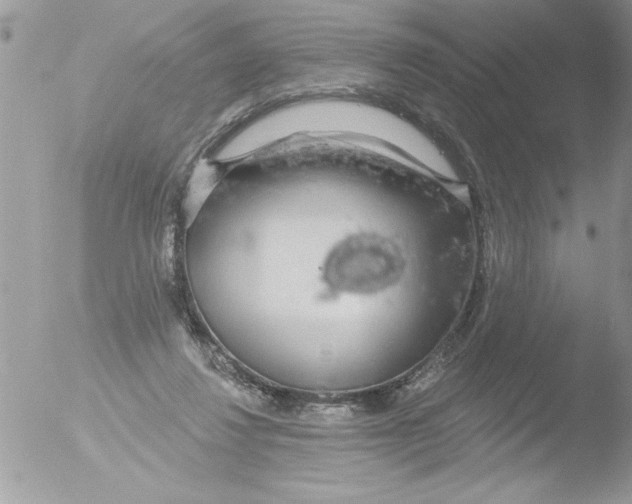 X0000051260260200507152223