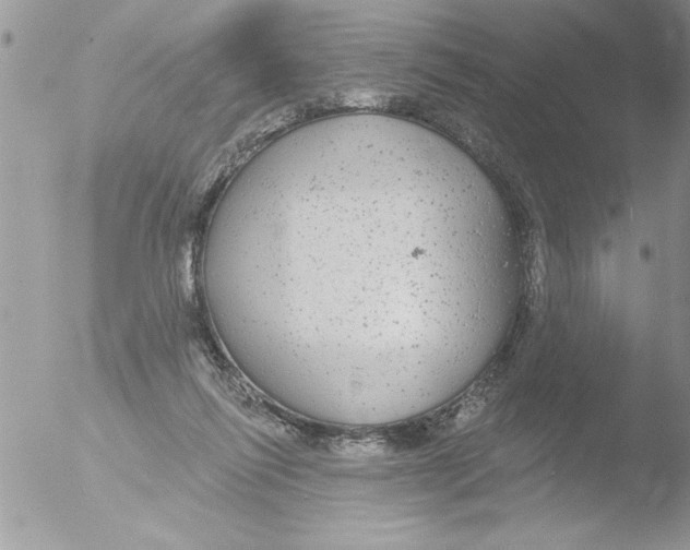 X0000051260262200507152223