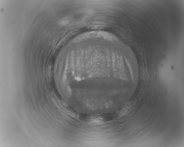 X0000051260263200507152223