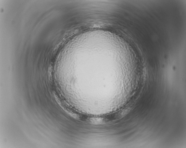 X0000051260265200507152223