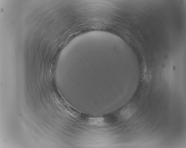 X0000051260266200507152223