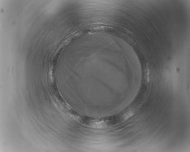 X0000051260267200507152223