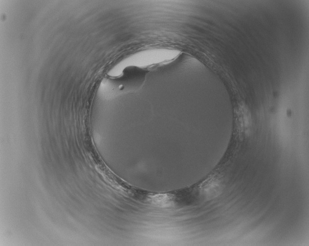 X0000051260269200507152223